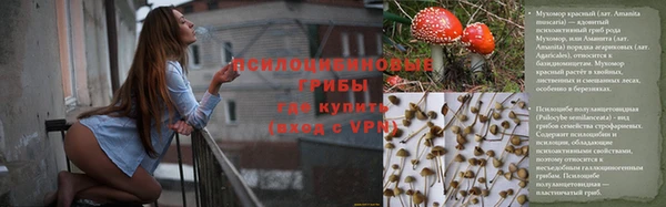 ешки Арсеньев