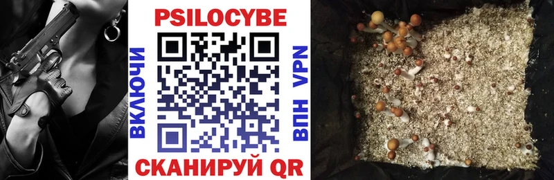 Галлюциногенные грибы MAGIC MUSHROOMS  shop клад  Балабаново  где купить наркоту 